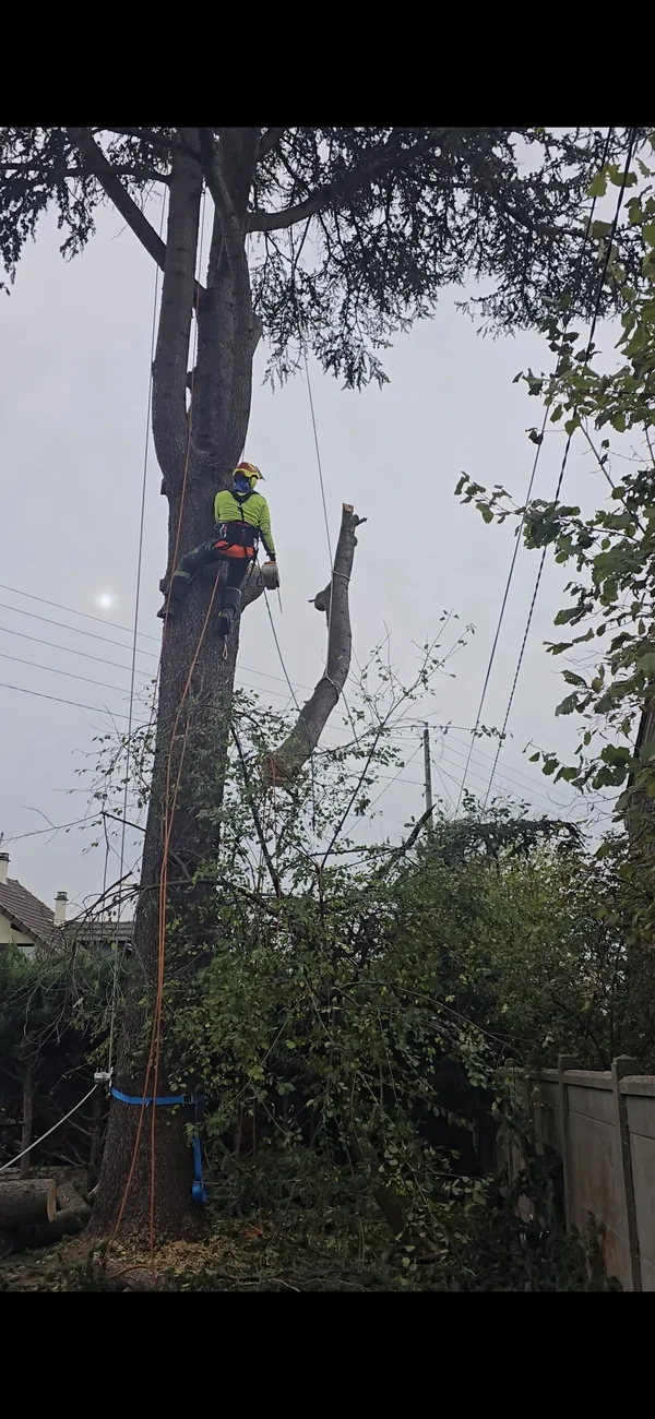 Démontage avec rétention